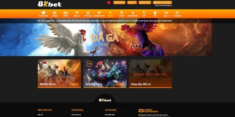 Chia sẻ quy trình tham gia cá cược đá gà online tại 8KBET